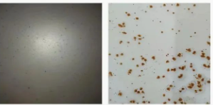 Ϳ���÷��W�P������Щ�N���οƌW(xu��)ʹ�ã� Ϳ���ھ�,coatingol.com